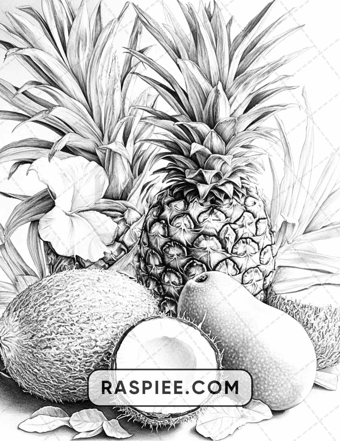 80 Still Life Adult Coloring Pages