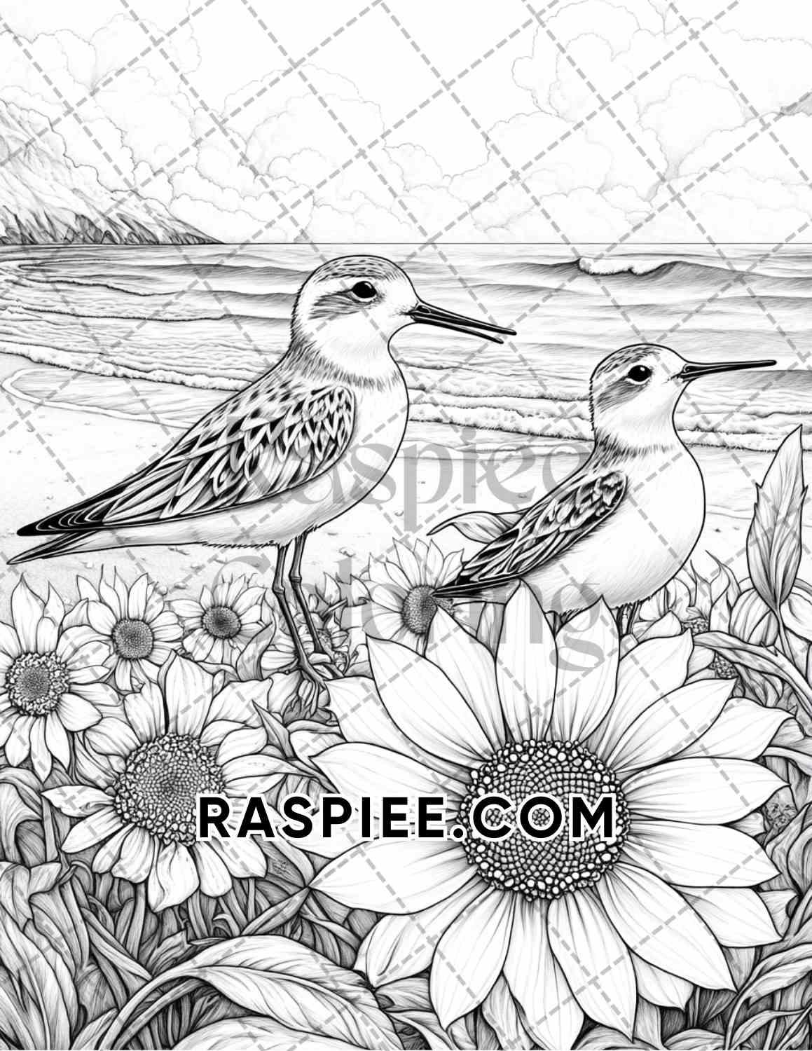 Flowers and Birds Adult Coloring Pages Printable PDF Instant Download