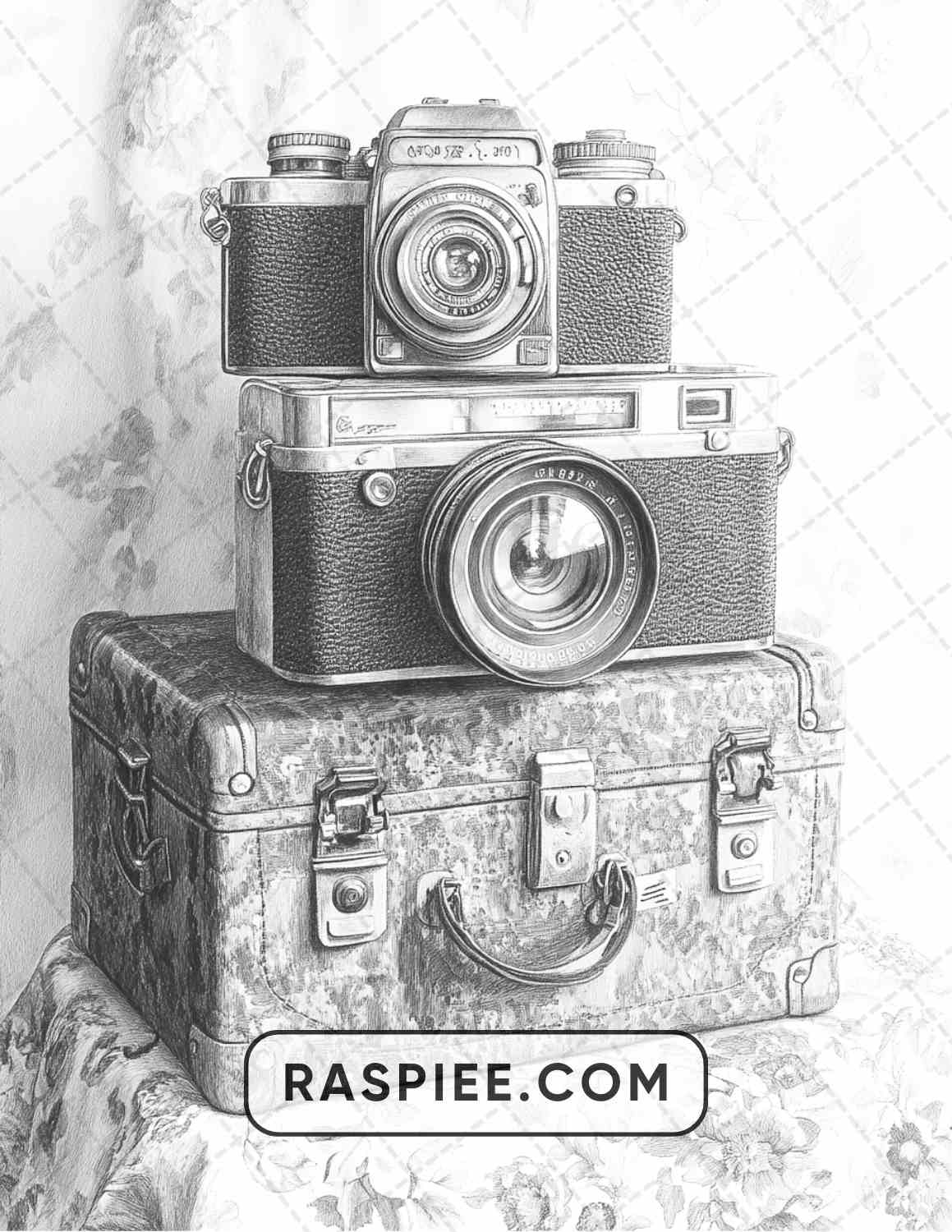 80 Still Life Adult Coloring Pages