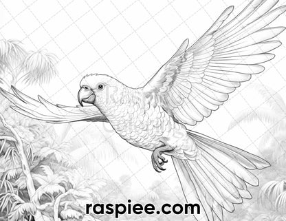 50 Tropical Paradise Grayscale Adult Coloring Pages, Printable PDF Instant Download