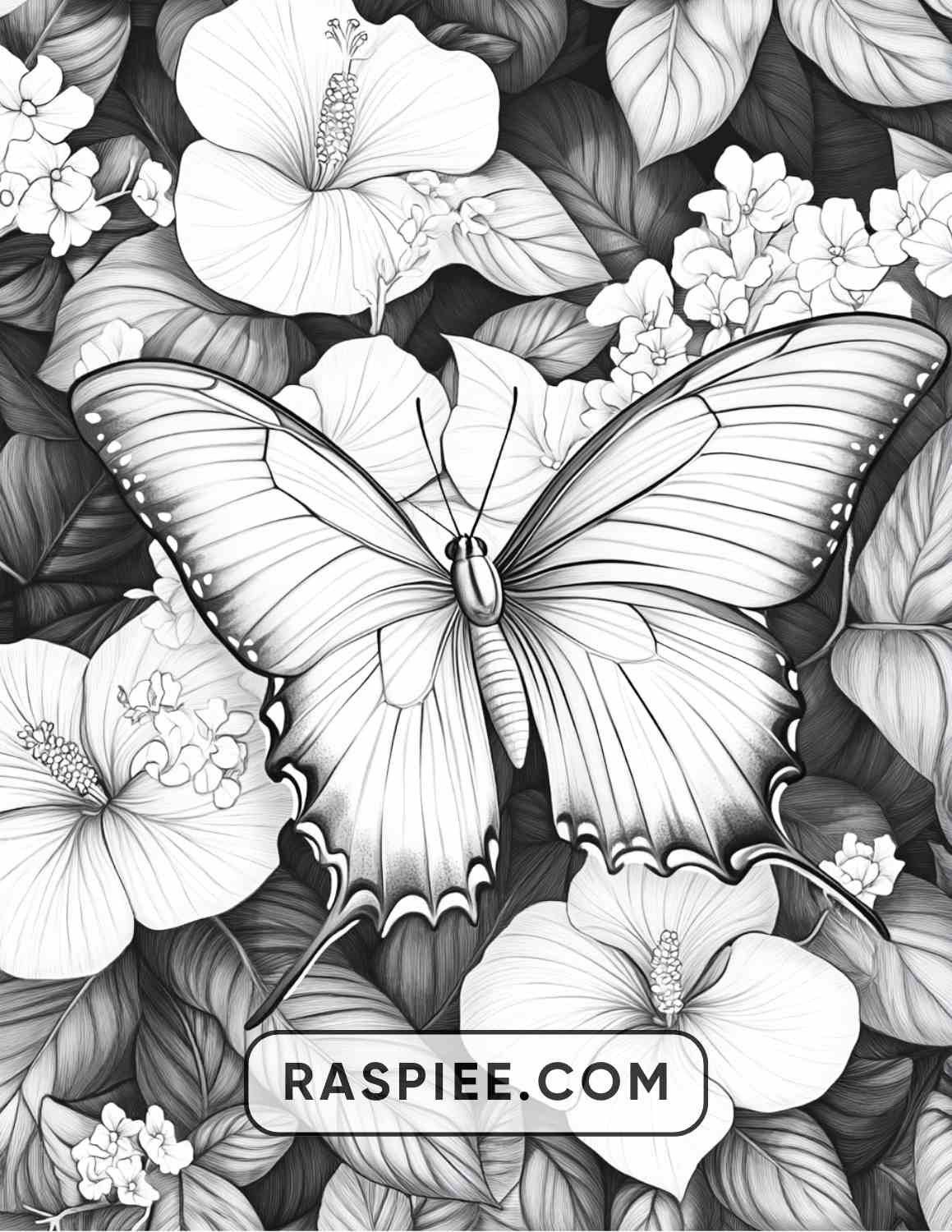 Insects and Flowers Adult Coloring Pages