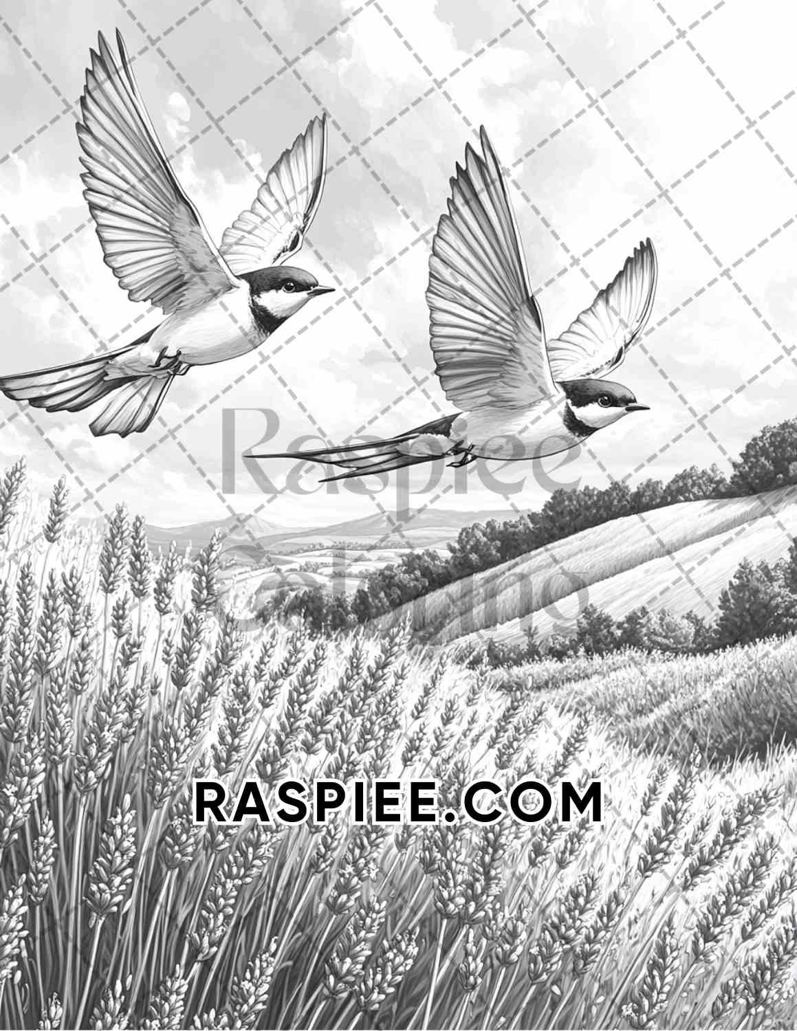Flowers and Birds Adult Coloring Pages Printable PDF Instant Download