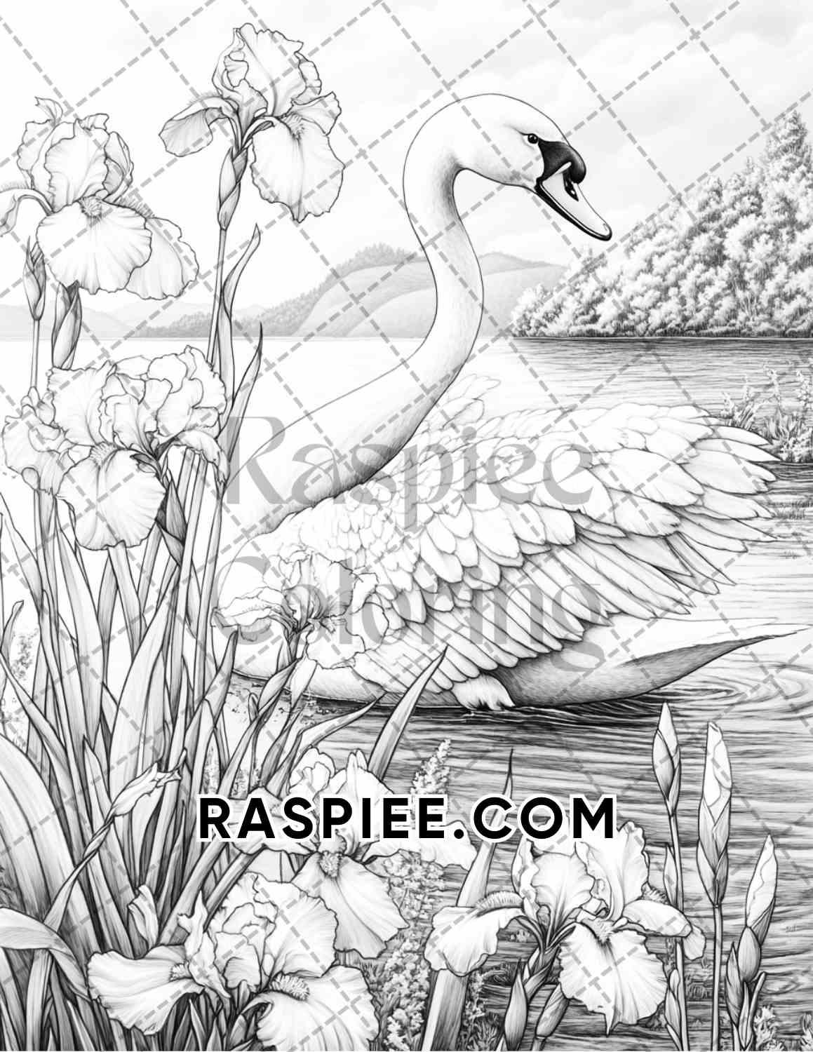 Flowers and Birds Adult Coloring Pages Printable PDF Instant Download