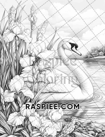 Flowers and Birds Adult Coloring Pages Printable PDF Instant Download