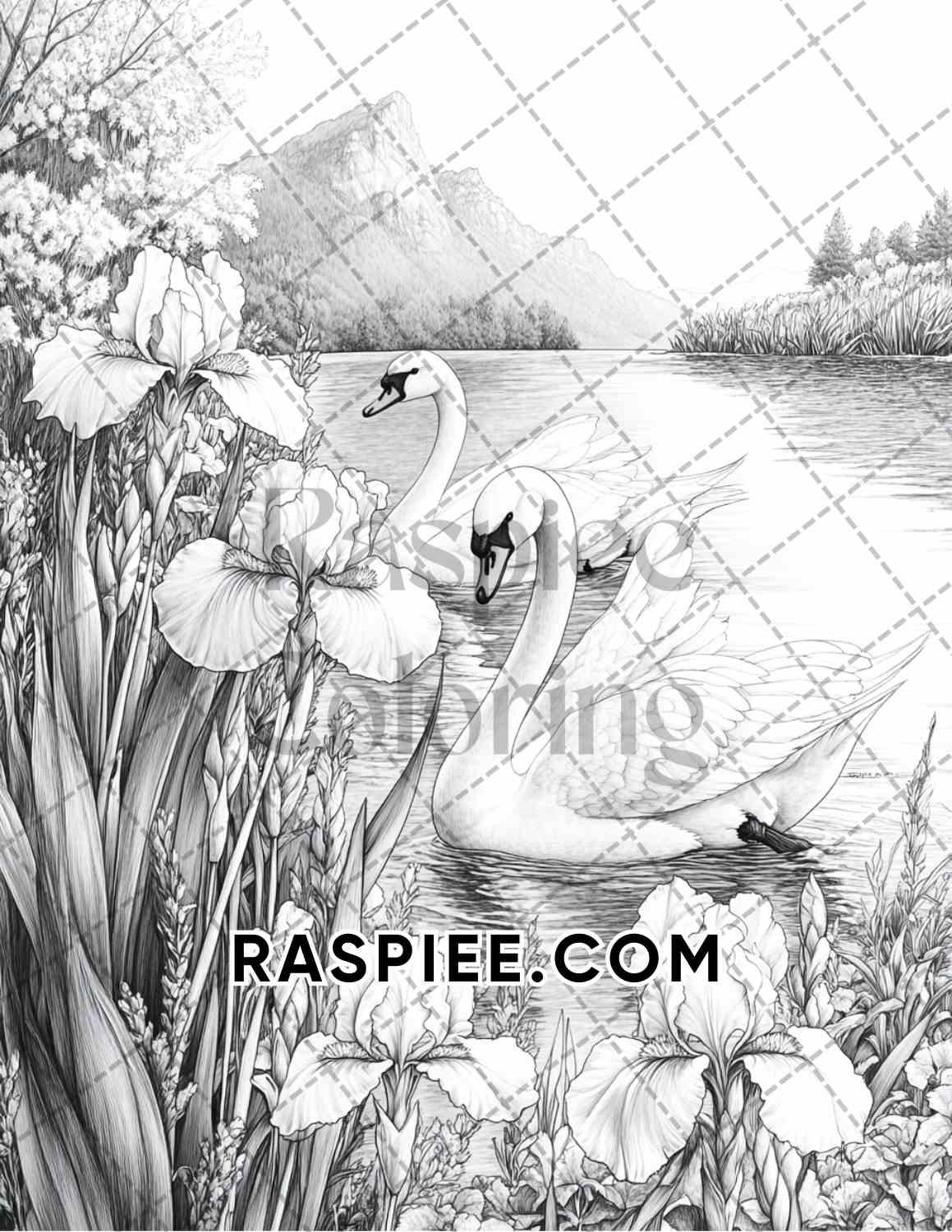 Flowers and Birds Adult Coloring Pages Printable PDF Instant Download