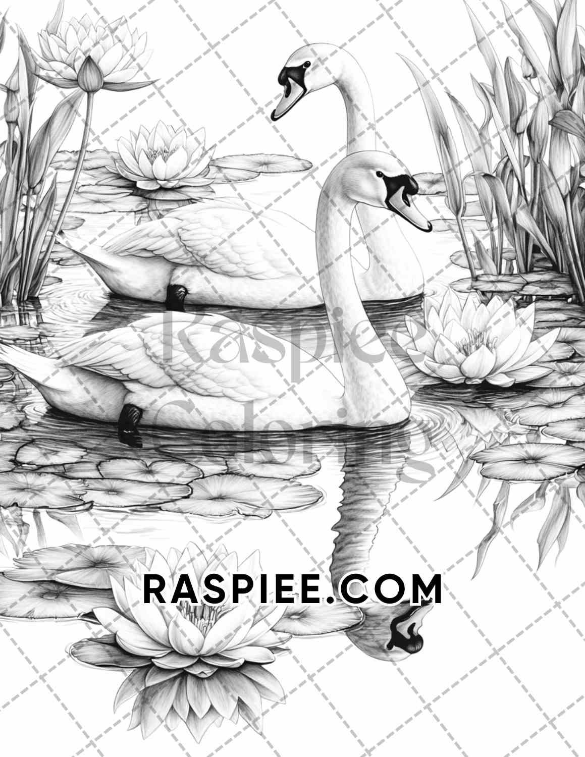 Flowers and Birds Adult Coloring Pages Printable PDF Instant Download