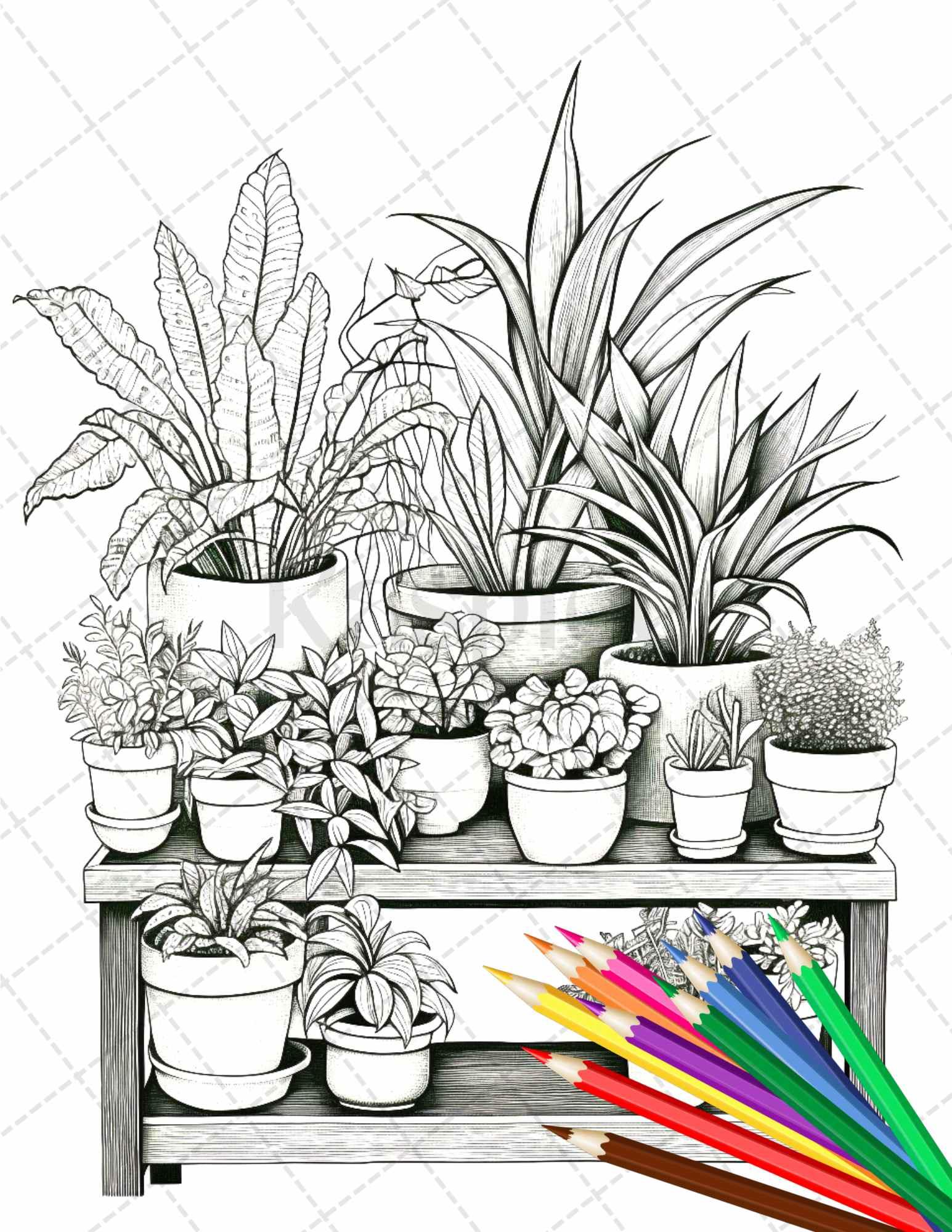 38 Indoor Houseplants Coloring Pages Printable for Adults, Grayscale Coloring Page, PDF File Instant Download