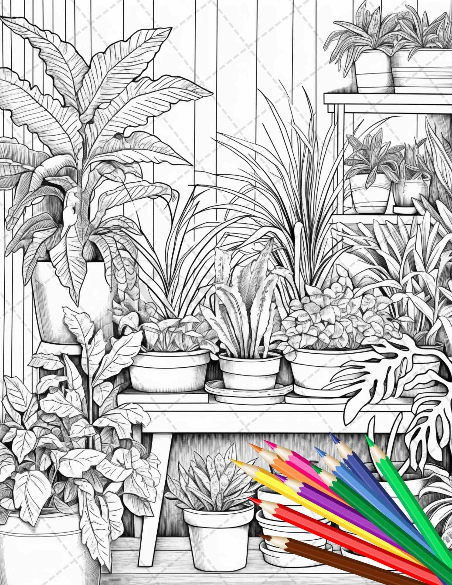 38 Indoor Houseplants Coloring Pages Printable for Adults, Grayscale Coloring Page, PDF File Instant Download