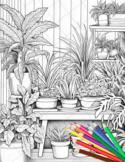 38 Indoor Houseplants Coloring Pages Printable for Adults, Grayscale Coloring Page, PDF File Instant Download