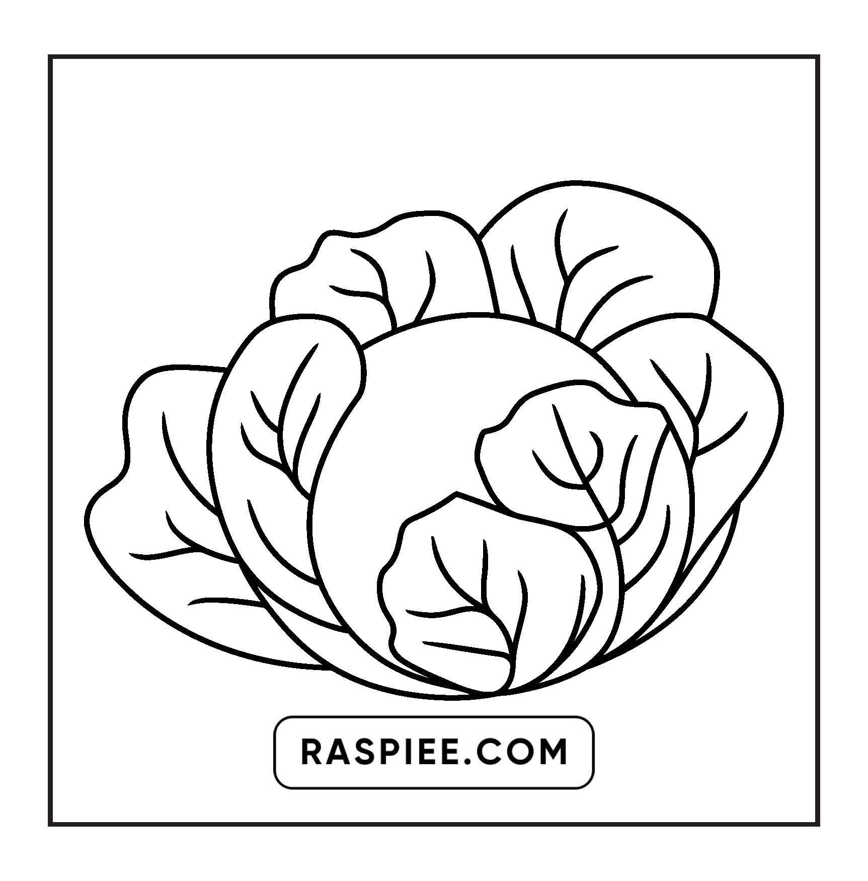 96 Food & Snacks Coloring Pages Bold & Easy Printable