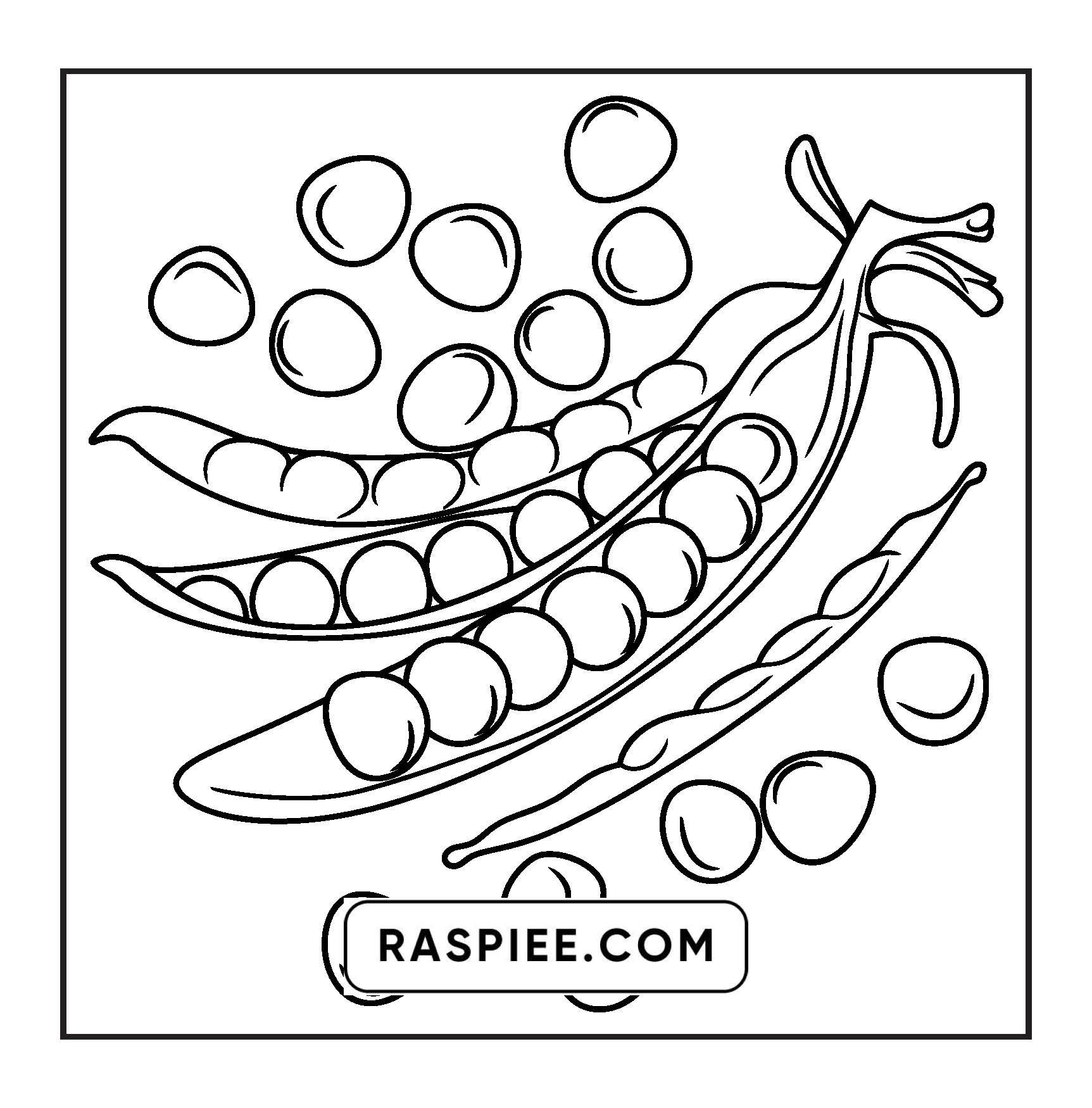 96 Food & Snacks Coloring Pages Bold & Easy Printable
