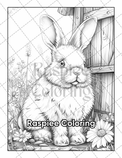 50 Country Farm Scenes Adult Coloring Pages Printable PDF Instant Download