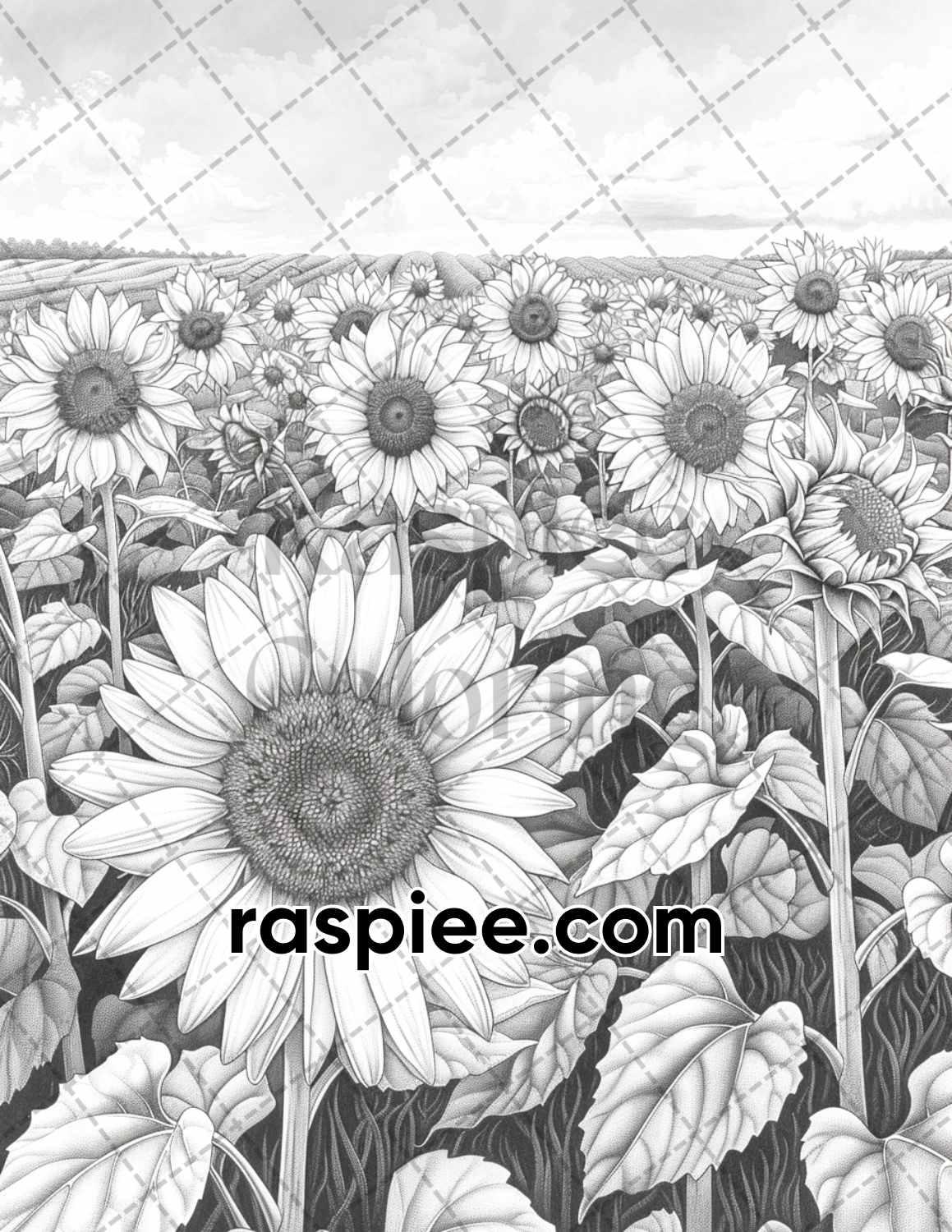 62 Relaxing Summer Grayscale Adult Coloring Pages Printable PDF Instant Download