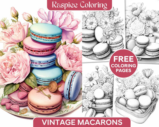 Free Vintage Macarons Grayscale Coloring Pages Printable for Adults, PDF File Instant Download