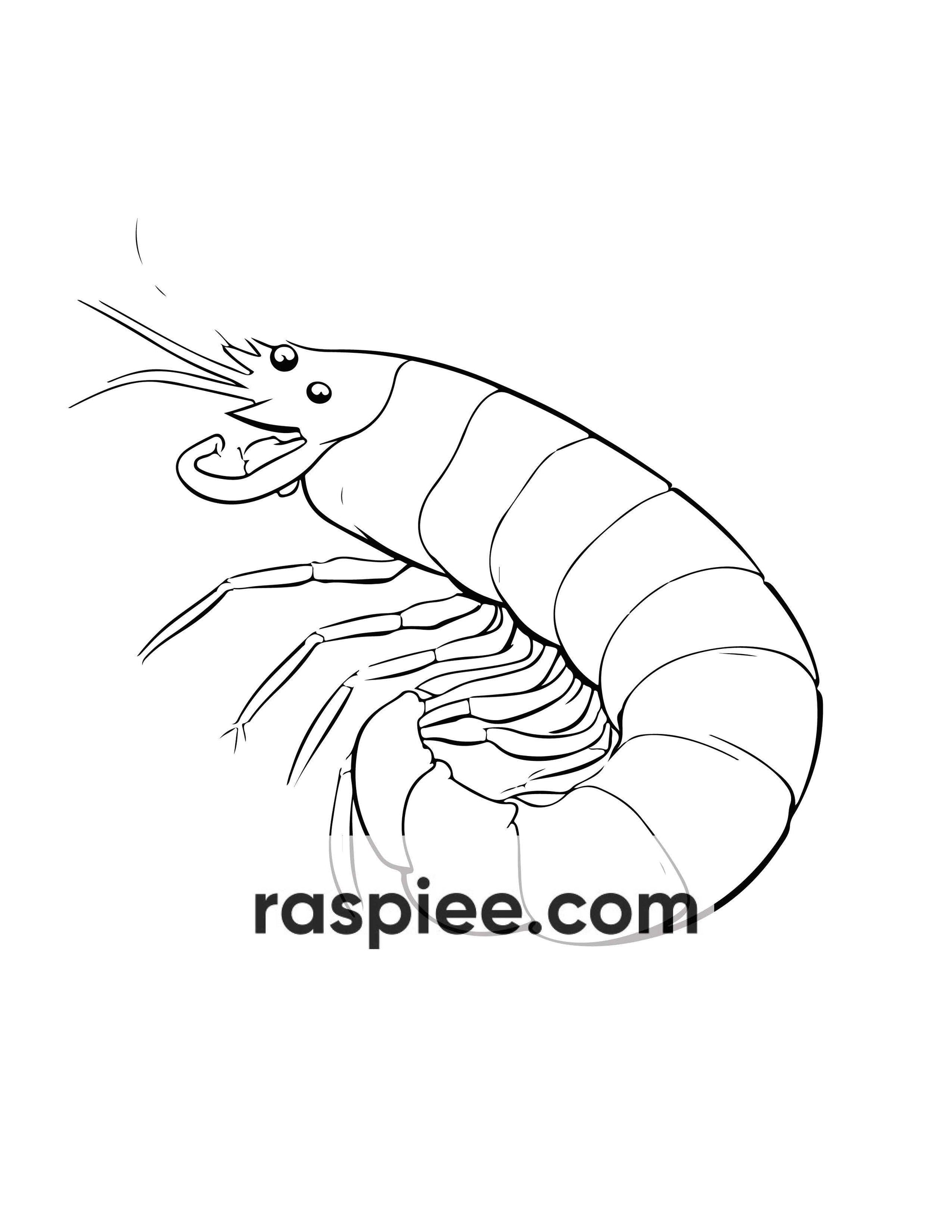 230 Ocean Animal Coloring Pages for Kids, Educational Preschool Printable PDF Instant Download